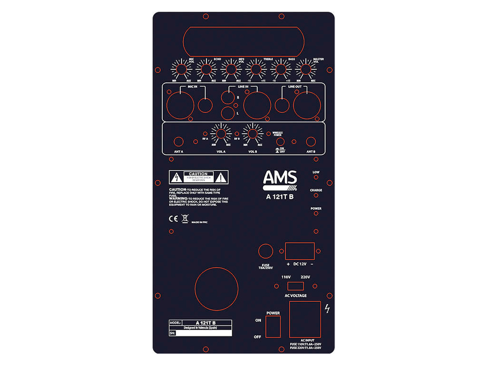 AMS PORTABLE SOUND 12 Pouces 700W MAX 2 MICROS 