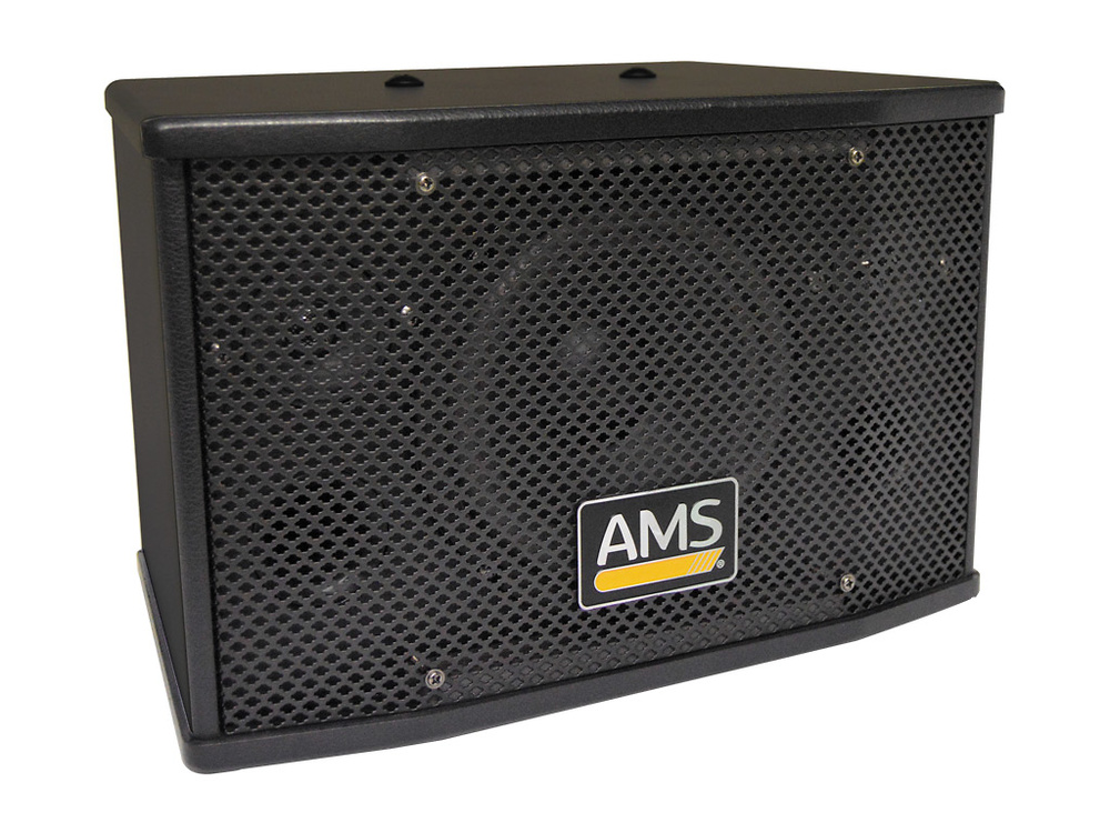 Caja acústica 80 DISCO AMS de 2 v 80W 