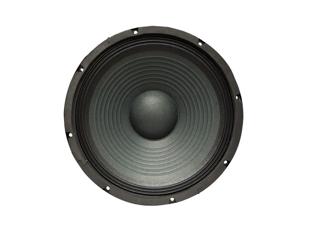 Haut-parleur 10''. 150 W sous 8 ohms. MARK 50ALT150 